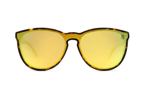 Men's Sunglasses-Biscayners Discount
