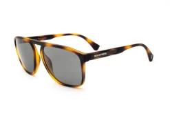 Sunglasses-Biscayners Clearance