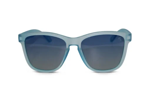 Men's Sunglasses-Biscayners New