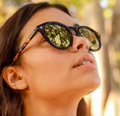 Sunglasses-Biscayners Clearance