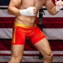 Ivan Drago Brief-Contenders Clothing Clearance