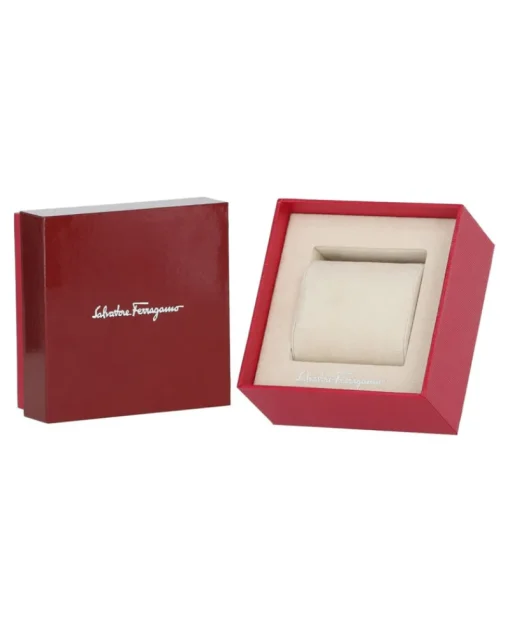 Cuir Strap Watch-Ferragamo Fashion
