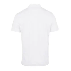 Men's Advanced Perforated Stripe Polo-IZOD Fashion