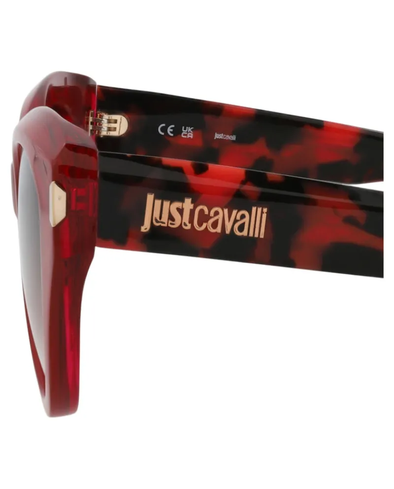 Cat Eye-Frame Acetate Sunglasses-Just Cavalli Online