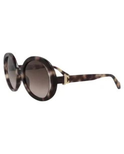 Round-Frame Acetate Sunglasses-Just Cavalli Online